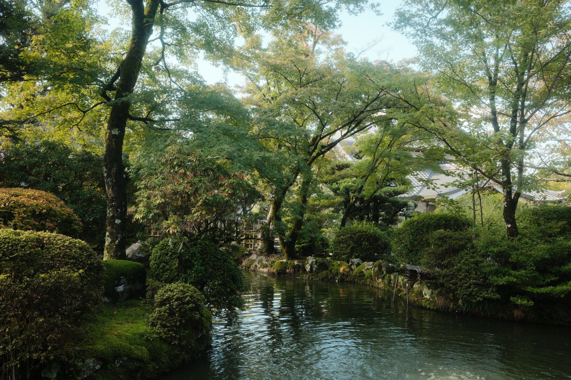 日本の美を巡る名旅館と伝統文化紀行